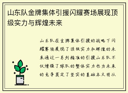山东队金牌集体引援闪耀赛场展现顶级实力与辉煌未来