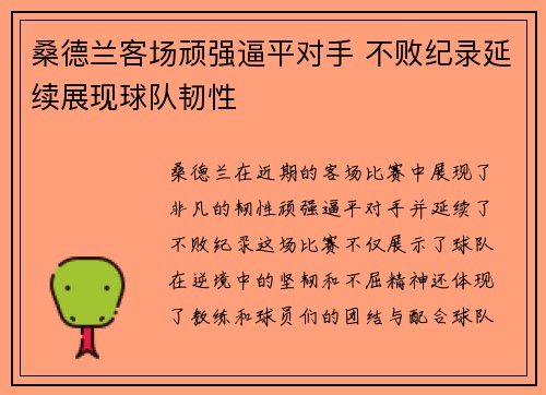 桑德兰客场顽强逼平对手 不败纪录延续展现球队韧性