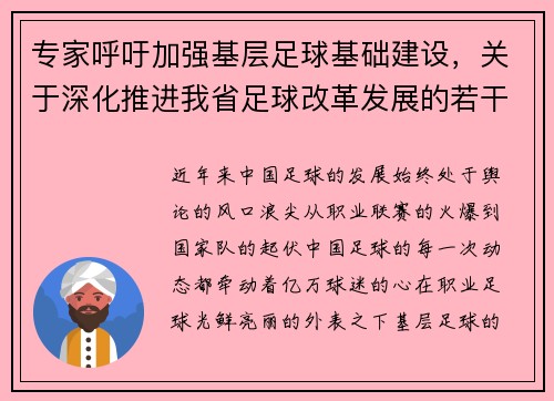 专家呼吁加强基层足球基础建设,关于深化推进我省足球改革发展的若干措施